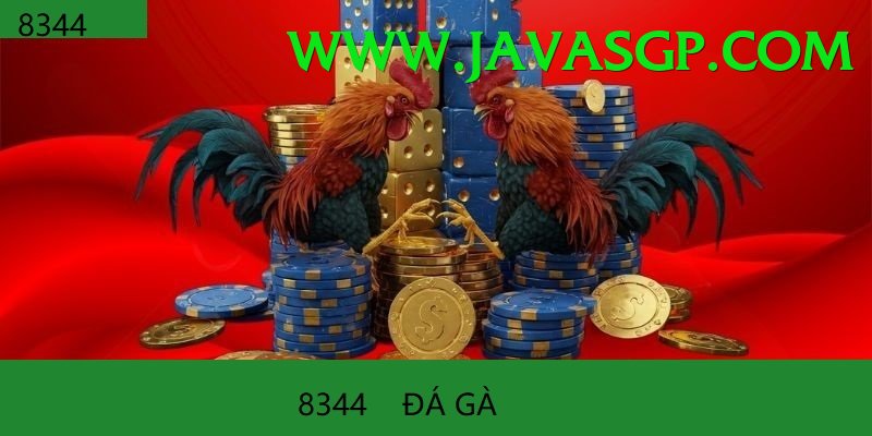 Cách Đọc Kèo Đá Gà